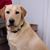 Marty Marlatt's profile image