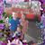 Melissa Bente Key's profile image