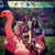 Jeanette M. Samaniego's profile image