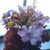 Rose Marie Elisabeth's profile image