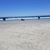 Lisa M Purdon Stumfoll's profile image