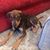 Alberto Zaragoza Ortiz's profile image