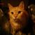 Mike Brundage's profile image