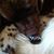Tonya Wilson's profile image