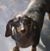 Wendy Bolin Fulghum's profile image