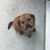 Beth Kallas Trask's profile image