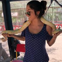 D Quiroz Providell's profile image