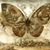 Barb Rainer's profile image