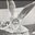 Tracy Ray's profile image