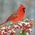 Debranne Lehman's profile image