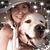 Suzzie Eads-Harrison's profile image
