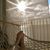 Jill Keener's profile image