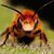 Chuck Hoover's profile image