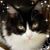 Kay E. Tindel's profile image