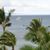 Diane Weir's profile image