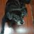 Penny Lewis Corley's profile image