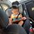 Irma Lorenzana's profile image