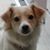 Robin Weddell's profile image