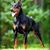 Loel Turpin's profile image