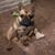 Debbie Riddle's profile image