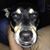Yvette Fernandez's profile image