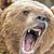 Michael Pitts's profile image