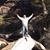 David Ellington's profile image
