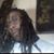 Tony Jenkins's profile image