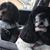 Kathy Bloch's profile image