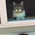 Dori Babcock's profile image