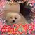 Sandra L McMichael's profile image