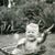 John Esser's profile image
