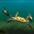 Jay Cooke's profile image