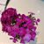 Jenny Peake's profile image