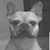 John Martín's profile image