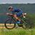 Felipe Acevedo's profile image