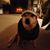 Ginger Reed's profile image
