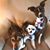 Denise Guthrie Dejean's profile image