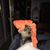 Jr Curbow's profile image