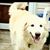 Tammy Sigmundi's profile image