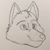 Travis Rowe's profile image