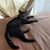 Katy May Test-Boelter's profile image