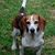 Sherry Murphy's profile image