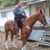Cecelia Bruner's profile image