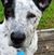 Donna Miller's profile image