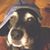Christina Sizemore's profile image