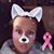Tracy Busbee Connelly's profile image