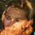 Darci Greenhill's profile image