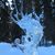 Kimberly Harris's profile image