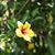 Kori Auli'i Lyons's profile image